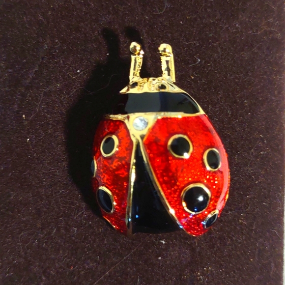 Ladybug Pin - Picture 2 of 3